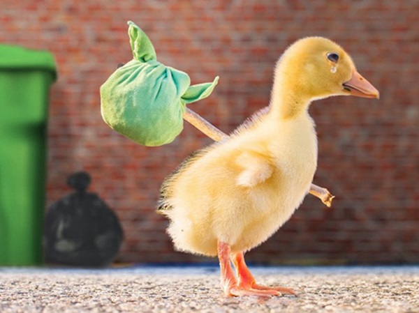 Đó có thể là biểu hiện của mong muốn được chăm sóc Đó có thể là biểu hiện của mong muốn được chăm sóc
