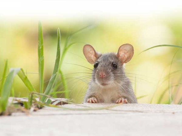 Điều này có thể phản ánh những nguy cơ tiềm ẩn Điều này có thể phản ánh những nguy cơ tiềm ẩn