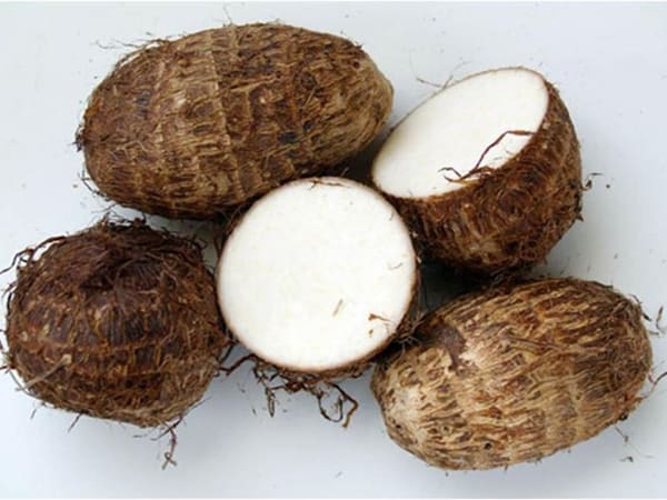 Chiêm bao thấy trồng củ khoai môn đánh con gì
