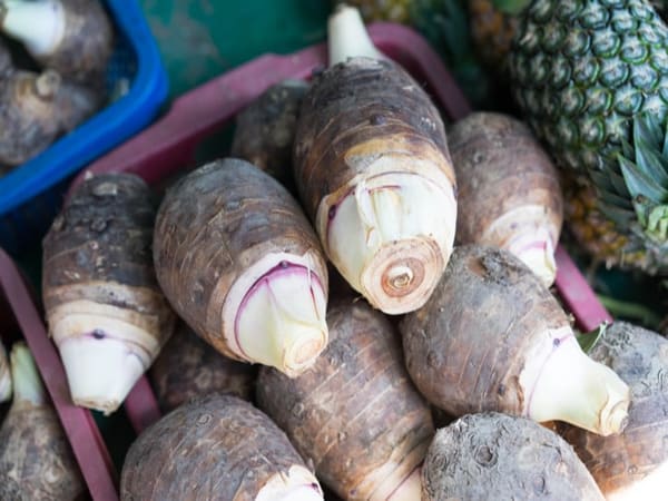Mơ thấy củ khoai môn đánh con gì