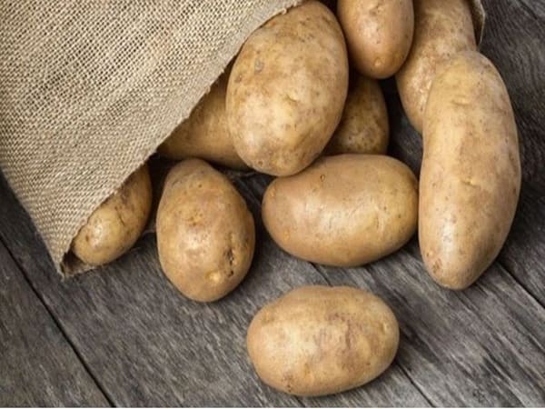 Nằm mơ thấy nấu khoai tây đánh con gì, có ý nghĩa gì