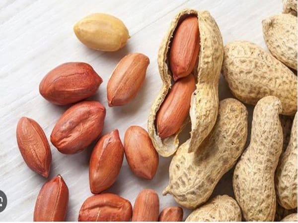 Nằm mơ thấy hạt lạc rang có ý nghĩa gì