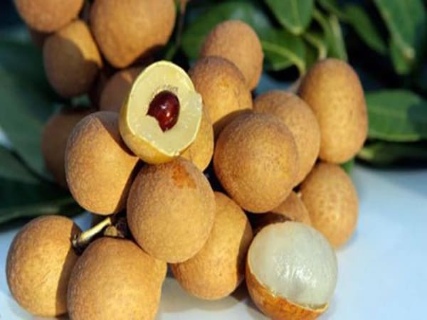 Mơ thấy quả nhãn có ý nghĩa gì
