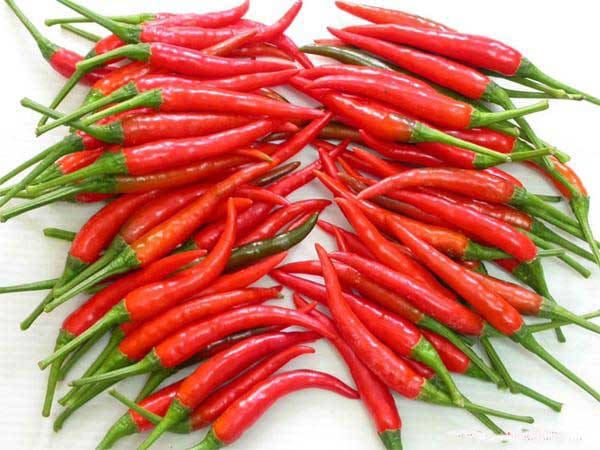 Nếu nằm mộng thấy quả ớt thối đánh con gì