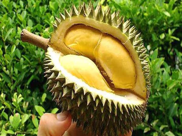 Một số giấc mơ thấy quả sầu riêng khác
