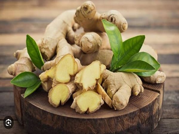 Nằm chiêm bao thấy đang ăn củ gừng