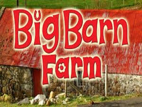 Big Barn Farm thuộc top game nông trại nhiều người chơi nhất