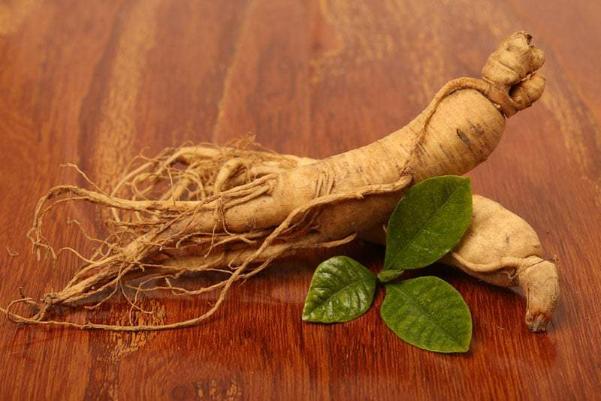 Điềm báo khi nhìn thấy củ sâm trong nhà là tốt hay xấu?