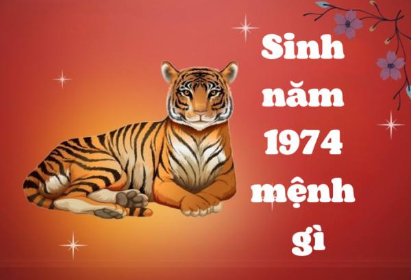 Mách bạn con số may mắn của tuổi Giáp Dần hôm nay