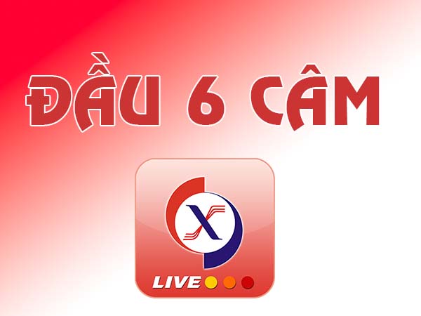 Lô đầu 6 câm đánh con gì? Tìm hiểu bí quyết tìm loto câm
